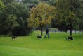 /album/galerie-photos/ecosse-592-jpg/